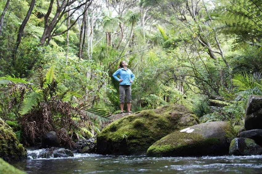 Less culture shock while volunteering in New Zealand