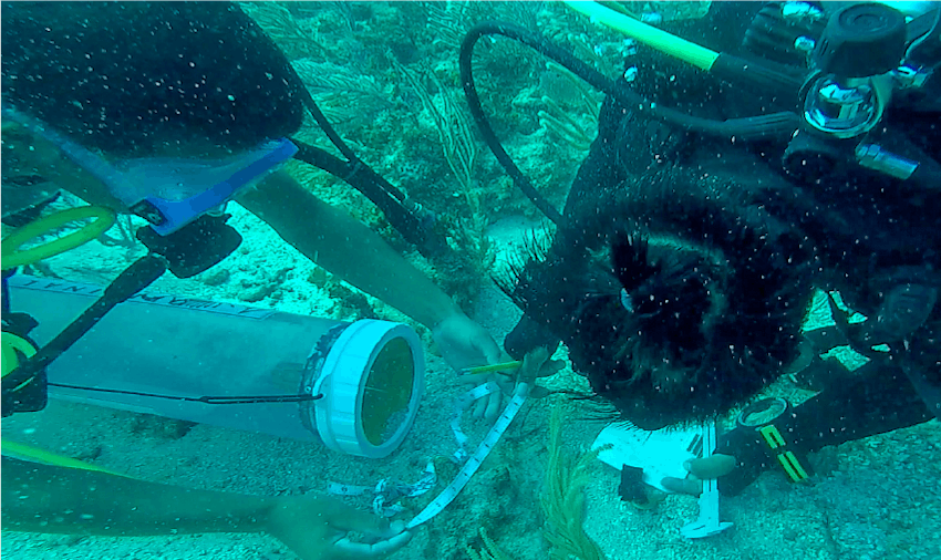 belize-scuba-measurement