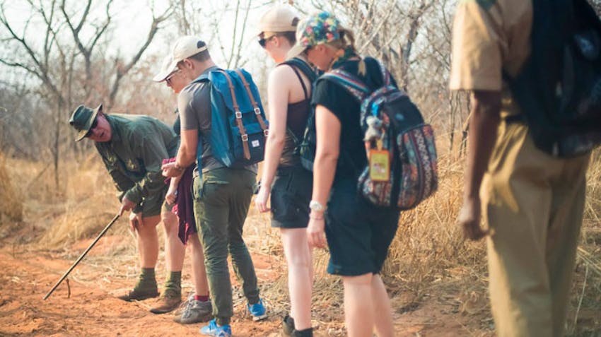 Working as a team as a volunteer group in Victoria Falls