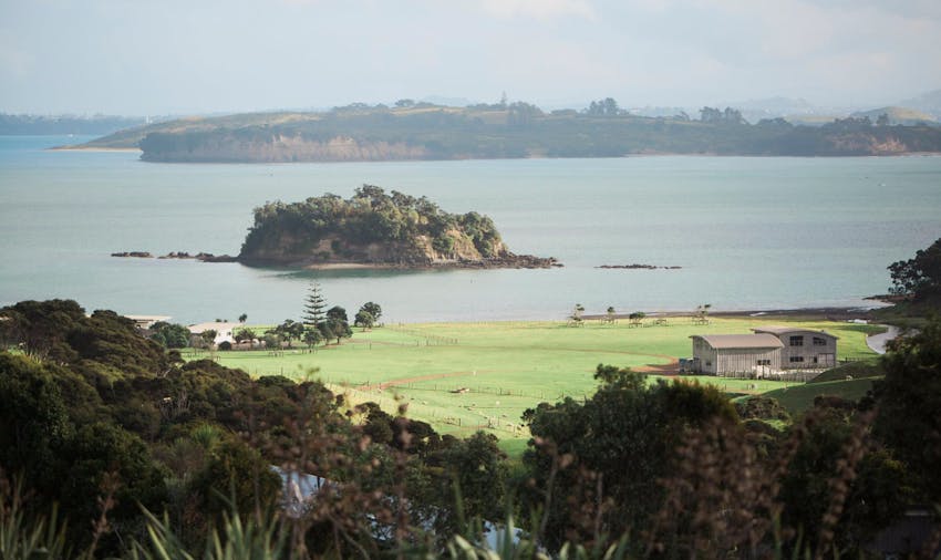 Volunteer programs for over 50s