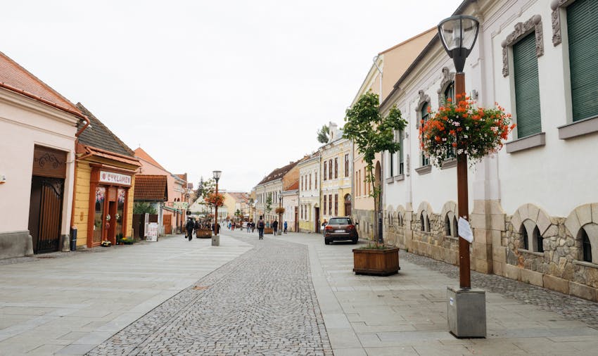 Volunteer programs for over 50s