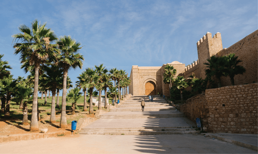 Volunteer programs for over 50s