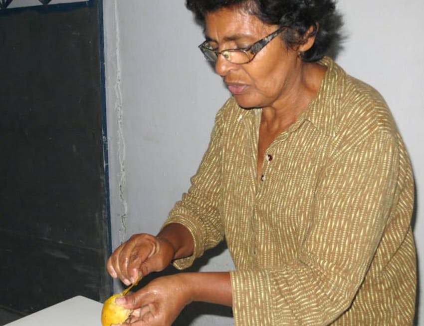 IVHQ Brazil host mother