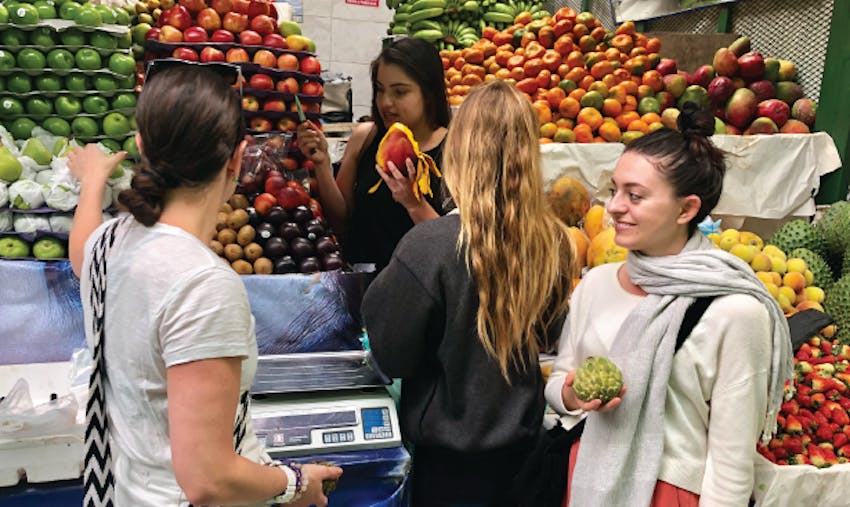 My IVHQ experience in Colombia