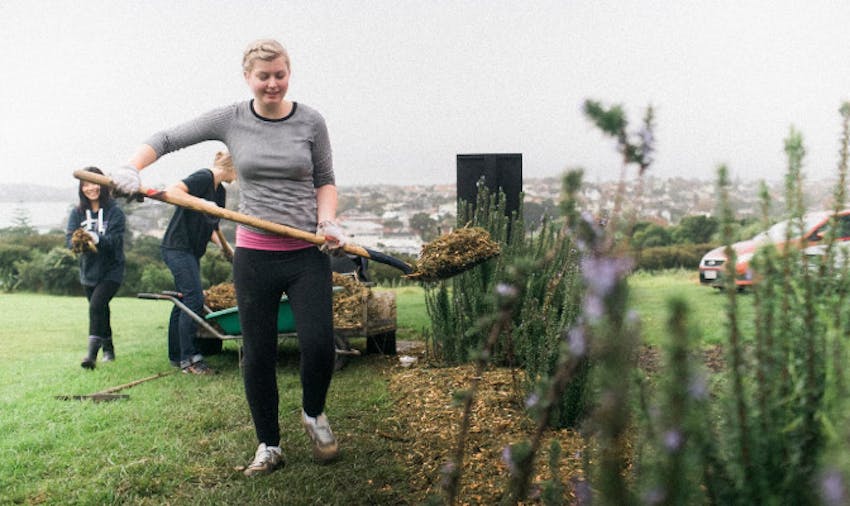 IVHQ Video Tour: New Zealand