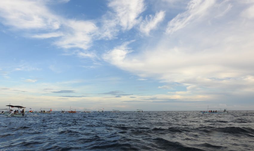 Volunteer in Bali - Lovina With IVHQ