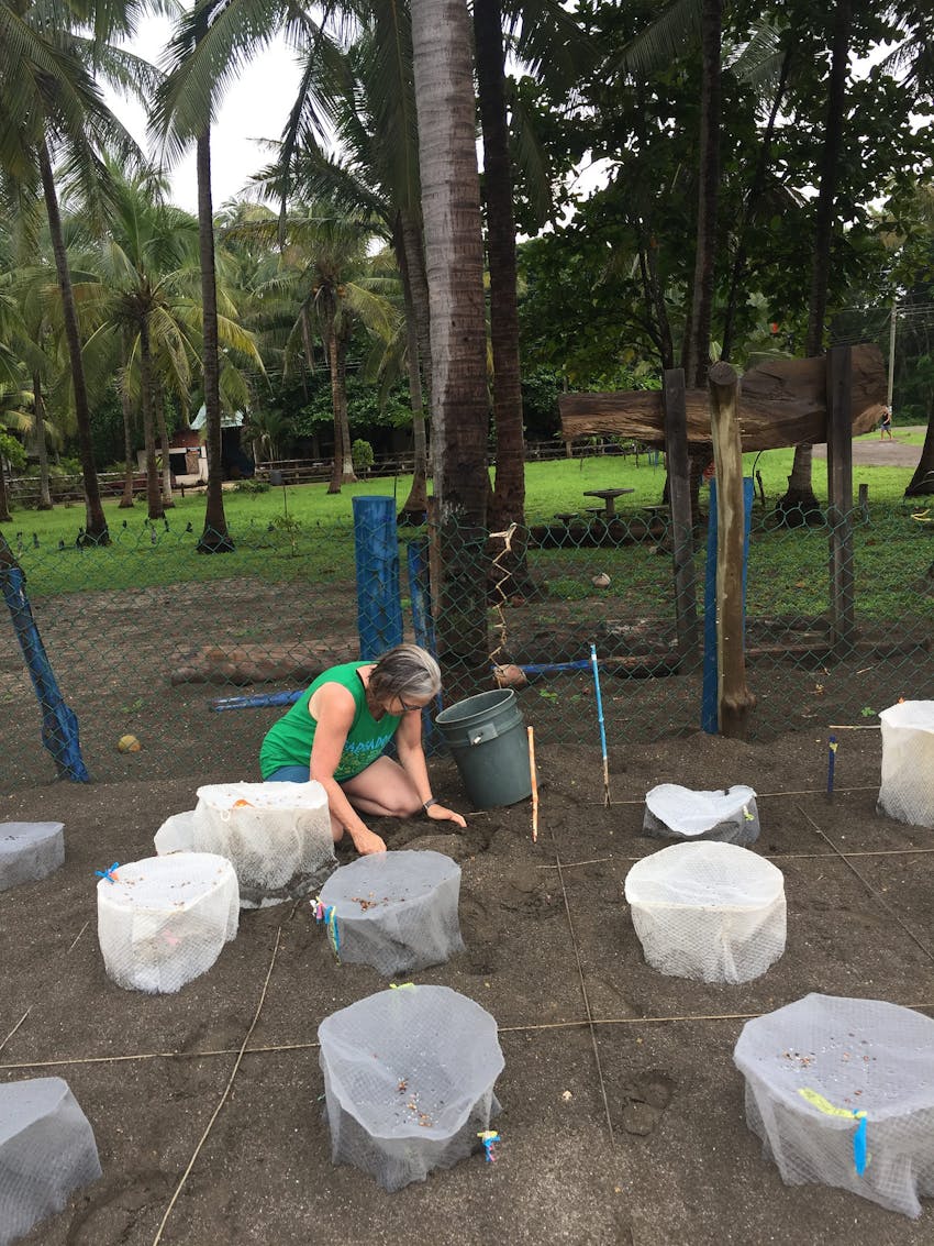 Volunteer with IVHQ in Costa Rica