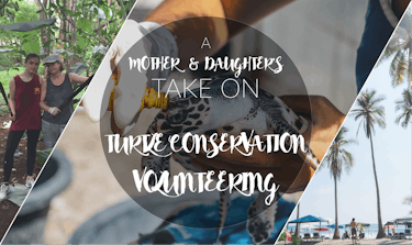 A Mother And Daughter's Take On Turtle Conservation Volunteering In Costa Rica With IVHQ
