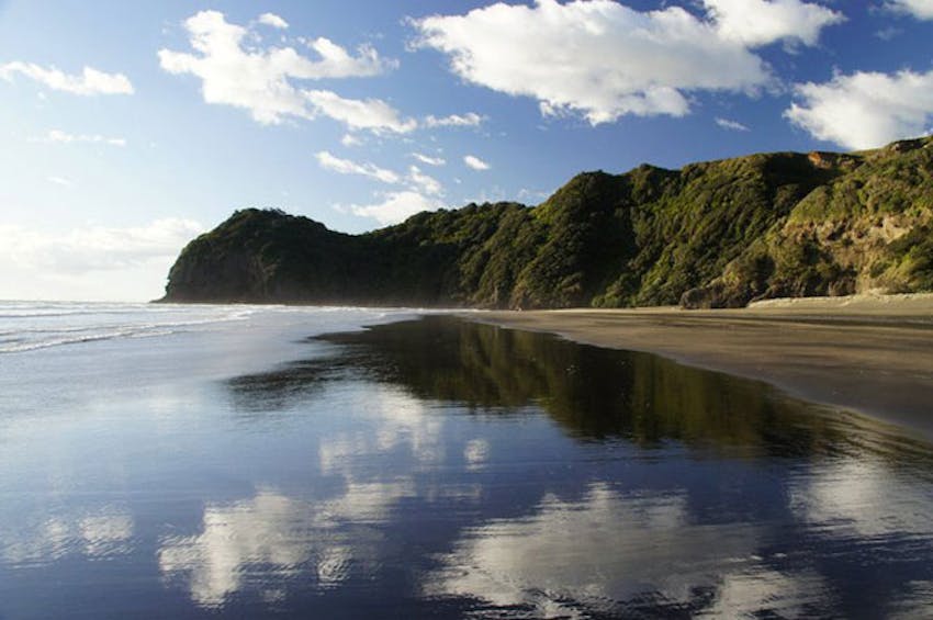 The New Zealand Coastline with IVHQ