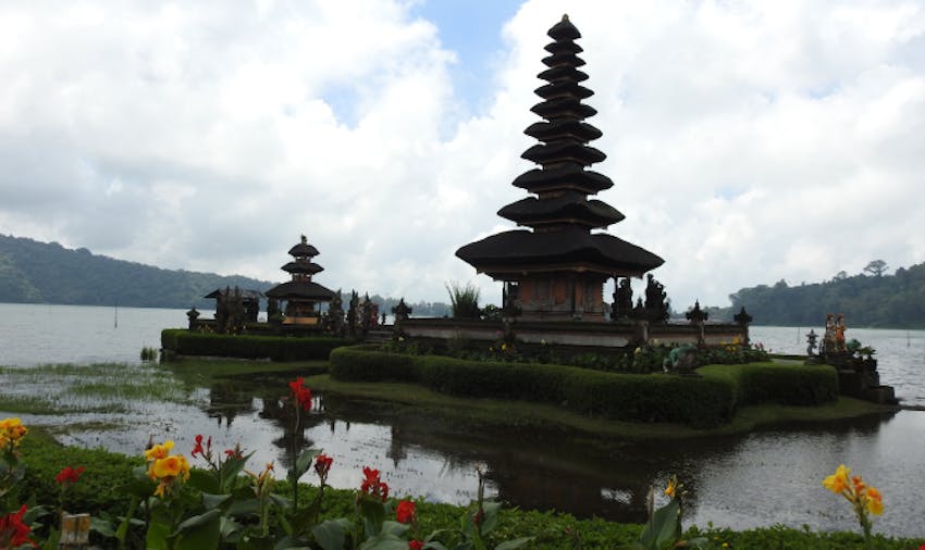 Which Bali Program is Best for You?