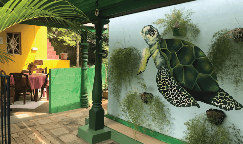Volunteer with turtles in Sri Lanka - mural