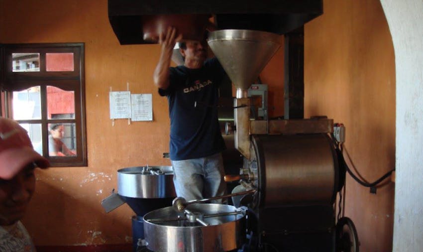 IVHQer Sharron Maree volunteered on the Eco-Agriculture Project in Guatemala