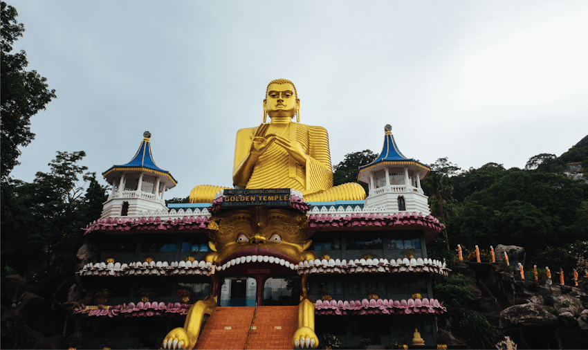 Volunteer and study abroad in Sri Lanka with IVHQ