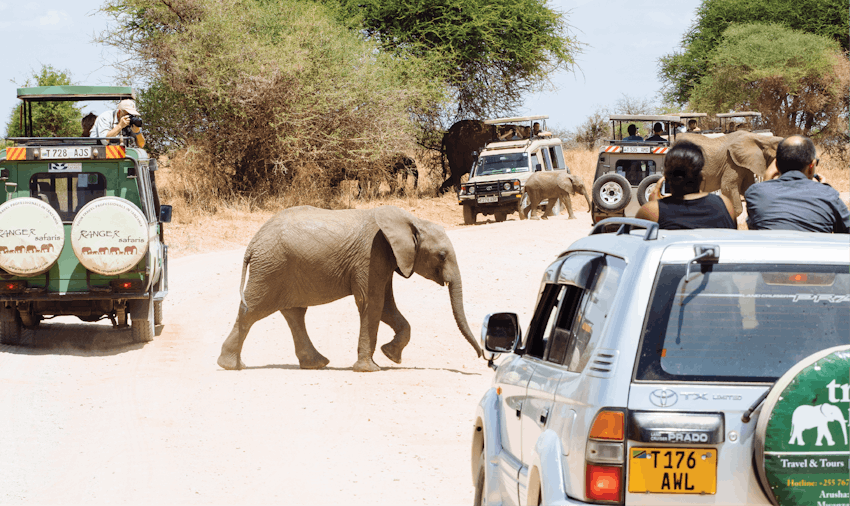 Best Summer Volunteer Abroad Programs Tanzania