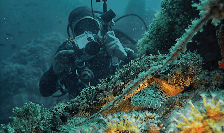 Best Summer Volunteer Abroad Programs Croatia