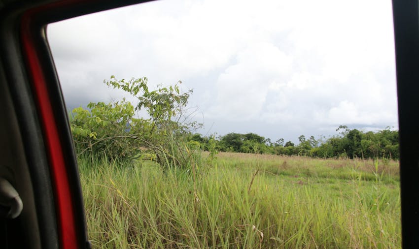IVHQer travel blogger Carmen volunteering on the Amazon Jungle Conservation project