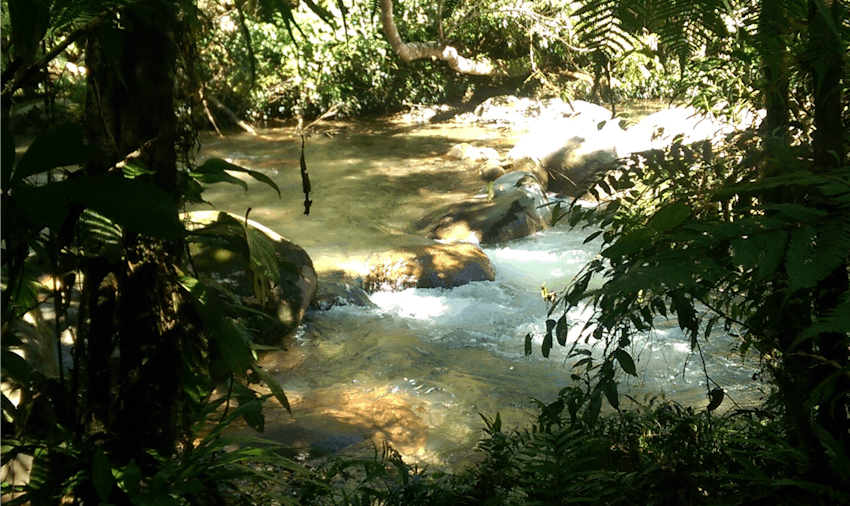 IVHQer travel blogger Carmen volunteering on the Amazon Jungle Conservation project