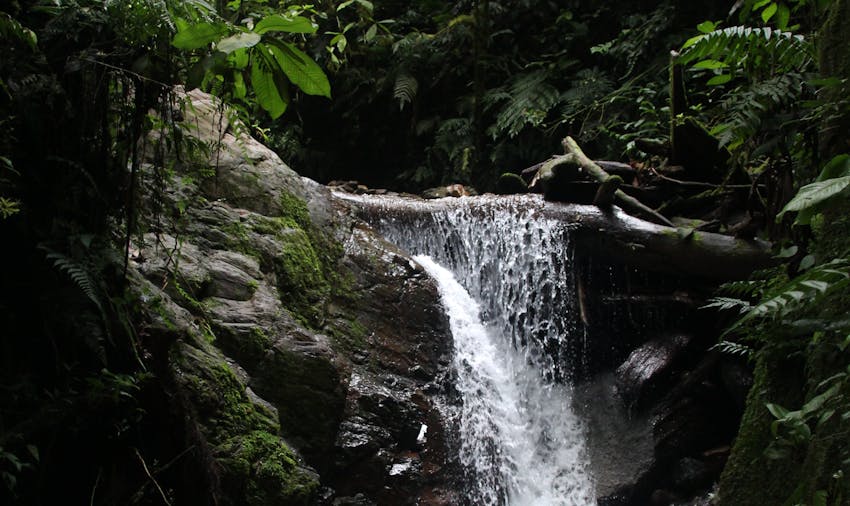 IVHQer travel blogger Carmen volunteering on the Amazon Jungle Conservation project