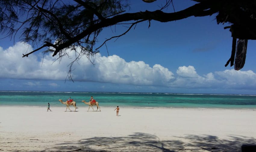 You can expect the unexpected when volunteering in Kenya