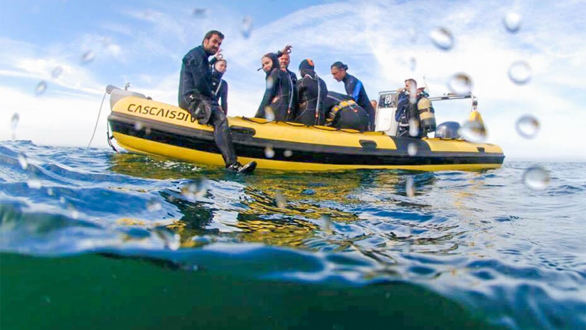 Volunteer in Portugal with IVHQ in 2026