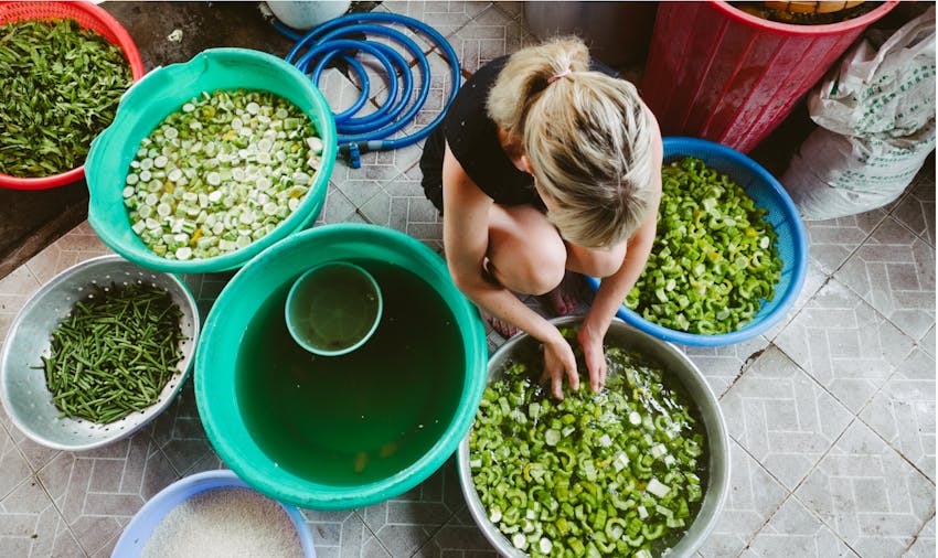 IVHQ Food Outreach project volunteer in Vietnam