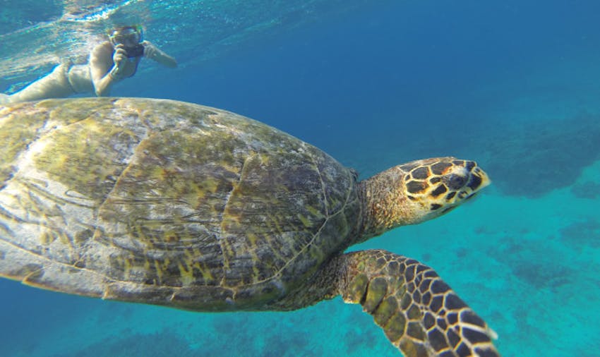 Two Breathtaking itineraries To Add To Your Bucket List - Gili Islands