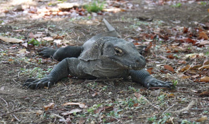 Two Breathtaking Itineraries To Add To Your Bali Bucket List