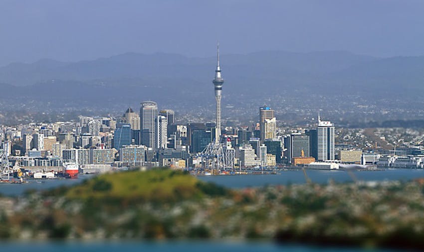 Volunteer in New Zealand - Auckland City