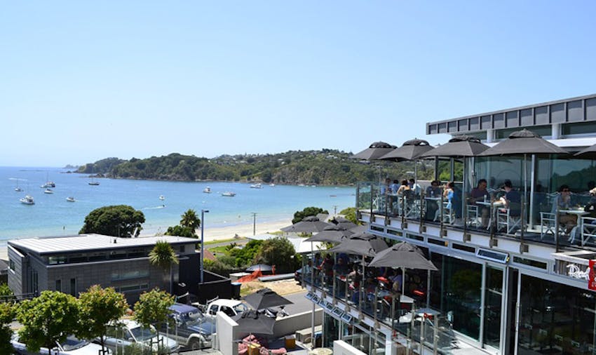 Volunteer in New Zealand - Waiheke Island Weekends