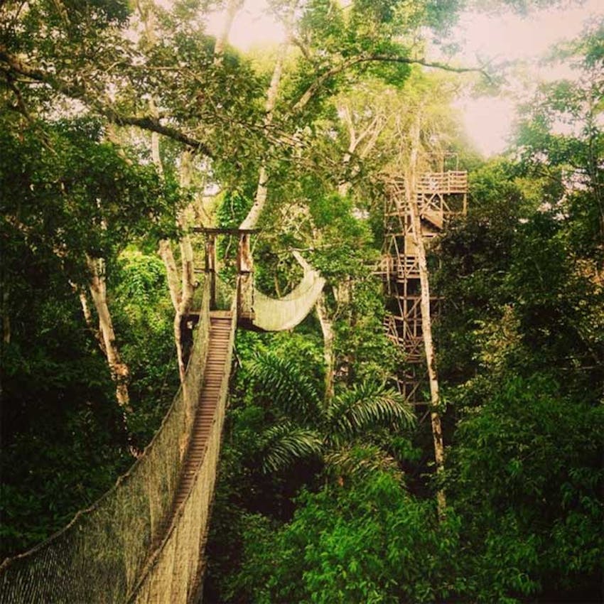 A look inside the jungle as an IVHQ volunteer in Peru