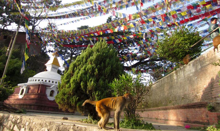 Arriving in Nepal as an IVHQ volunteer