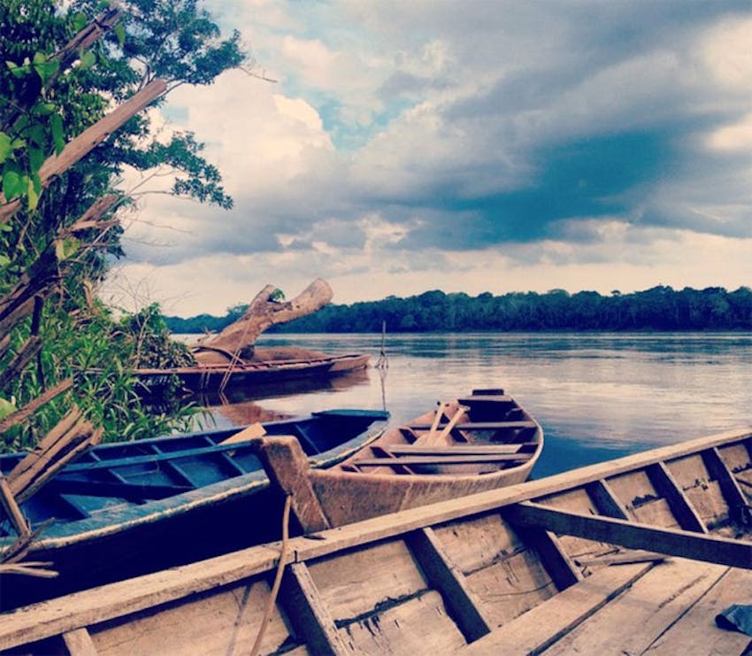 Volunteering in the jungle with IVHQ in Peru