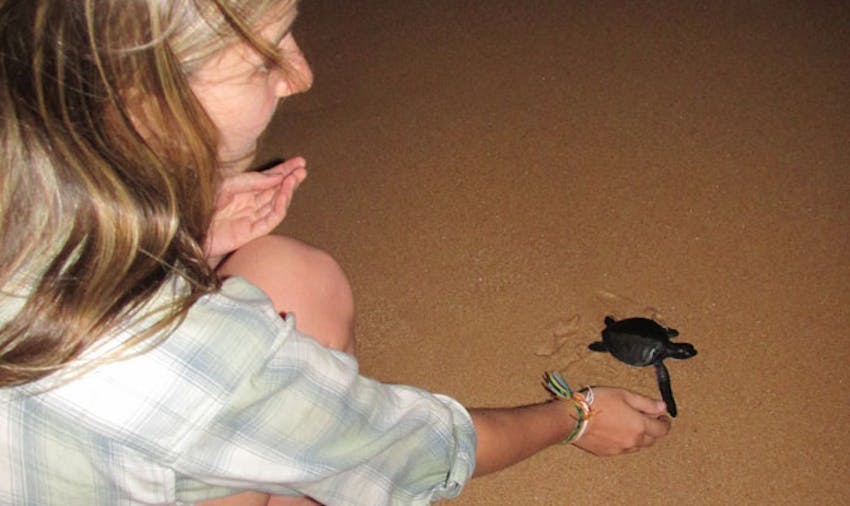 Releasing turtles as a volunteer in Sri Lanka with IVHQ