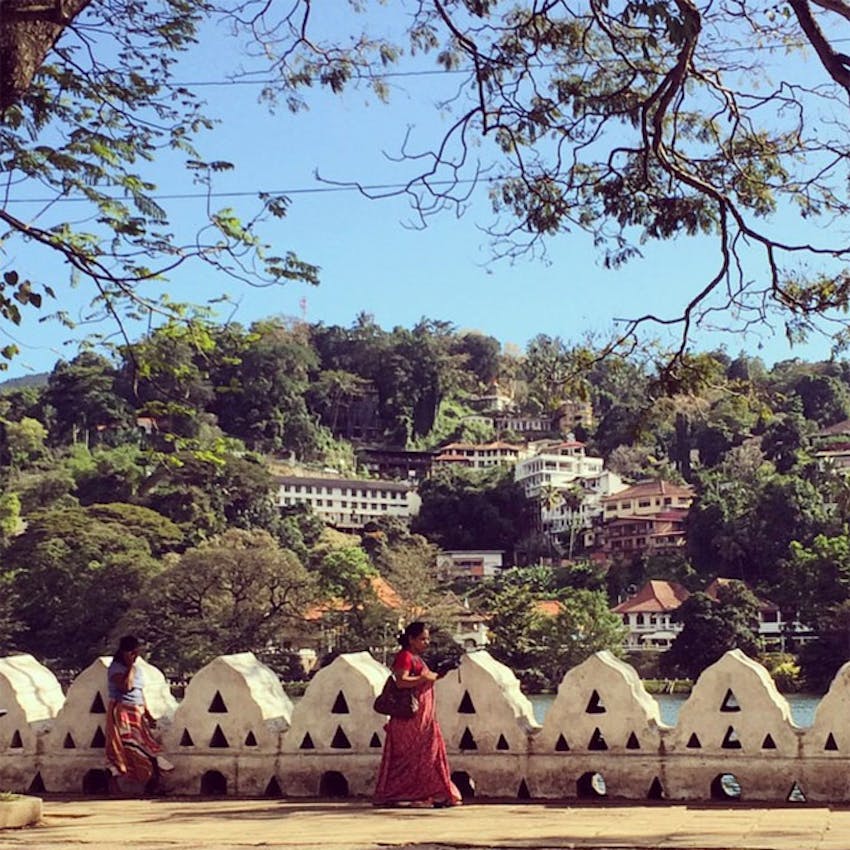 Volunteer in Sri Lanka with IVHQ