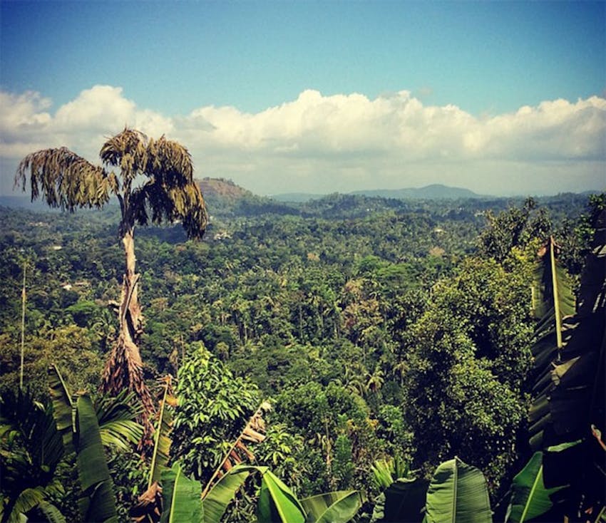 Volunteering in Sri Lanka with IVHQ