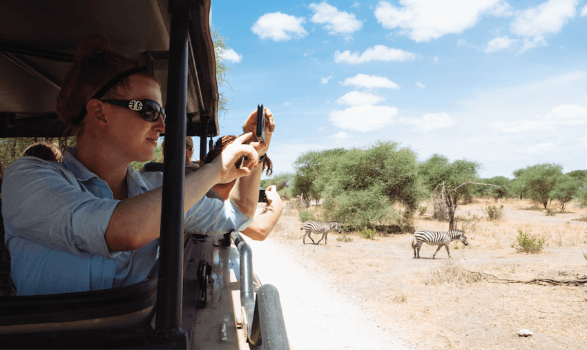 Safaris are always popular when volunteering in Tanzania