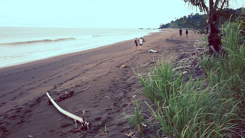 Volunteer with a Pack and Suitcase?