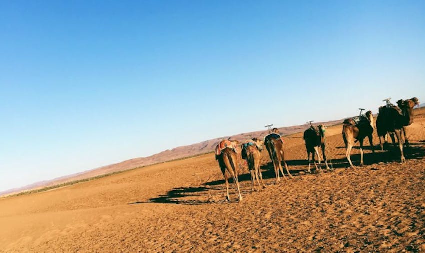 What is there to see when you volunteer in Morocco