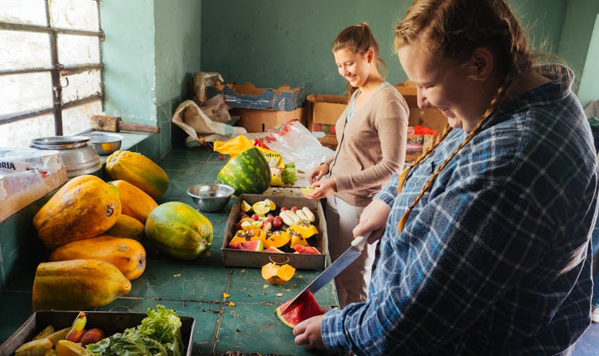 IVHQ Animal Care project in Peru