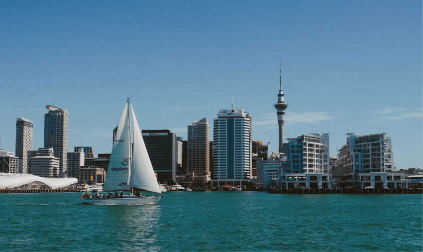Volunteer in New Zealand with IVHQ