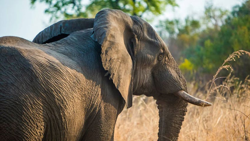 Suitcase or Backpack when you volunteer in Africa?