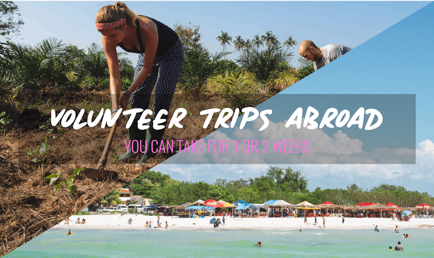 Volunteer trips abroad you can take For 1 or 2 Weeks
