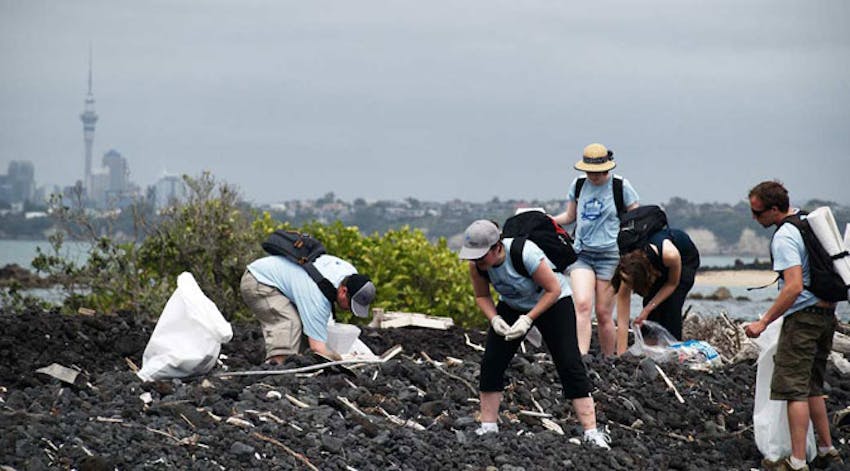 Likeminded volunteer travelers with IVHQ in New Zealand