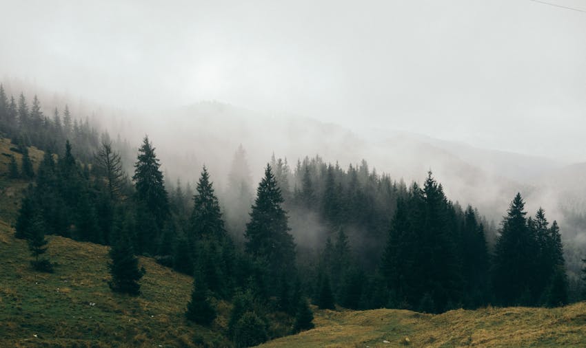 Stay in touch once you've returned from volunteering abroad