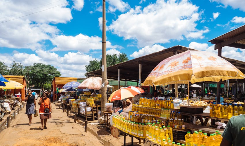 Volunteer in Zambia with IVHQ and continue to give back when you return home