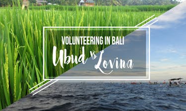 Which to choose when volunteering in Bali: Ubud vs Lovina