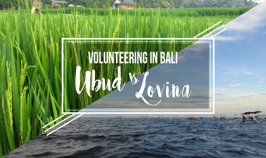 Volunteer in Bali Ubud vs Bali
