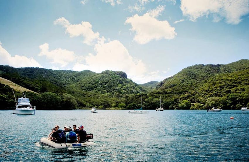 Volunteering in New Zealand with IVHQ