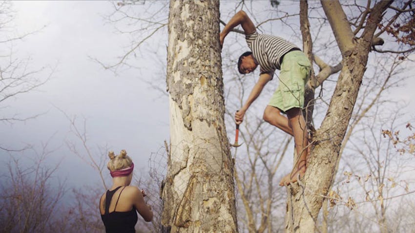 Volunteers work in conservation in Victoria Falls with IVHQ