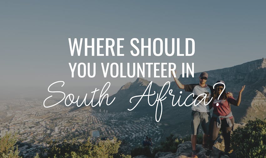 Where Should You Volunteer In South Africa?